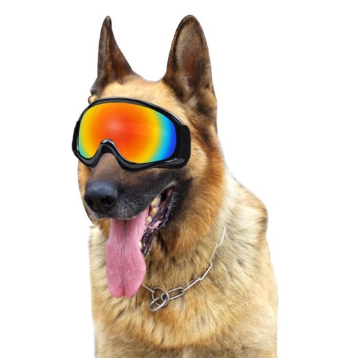 Gafas de sol para perros militares Wind Retriever con correa ajustable