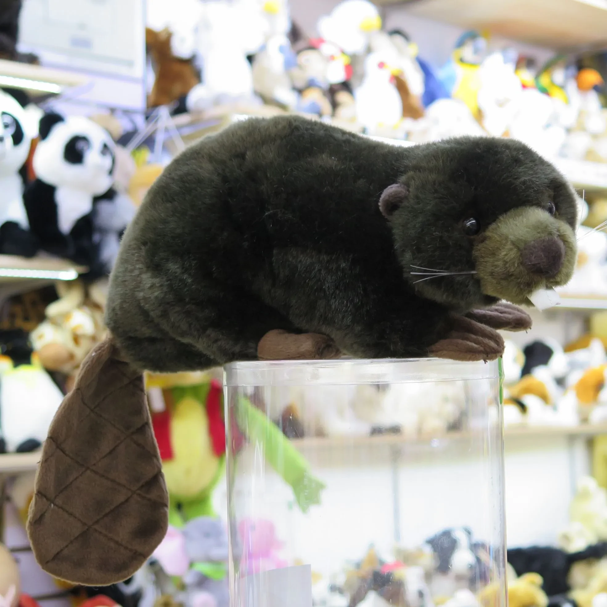 Peluches de animales de río
