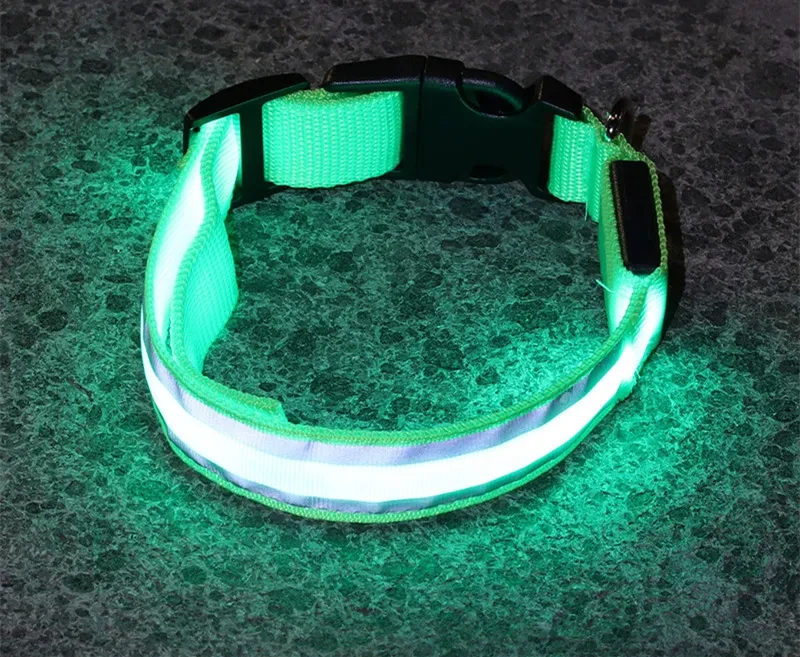 Collar luminoso LED antipérdida para perros, suministros para mascotas