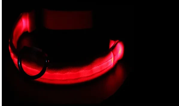 Collar luminoso para perros a la moda para mascotas