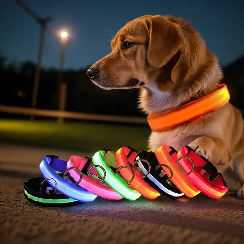Collar LED que brilla en la oscuridad para perros pequeños y medianos. Mantén a tu mascota segura y visible durante los paseos nocturnos.