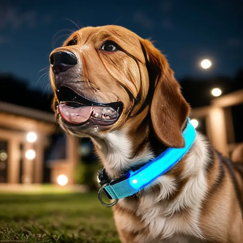 Collar LED que brilla en la oscuridad para perros pequeños y medianos. Mantén a tu mascota segura y visible durante los paseos nocturnos.