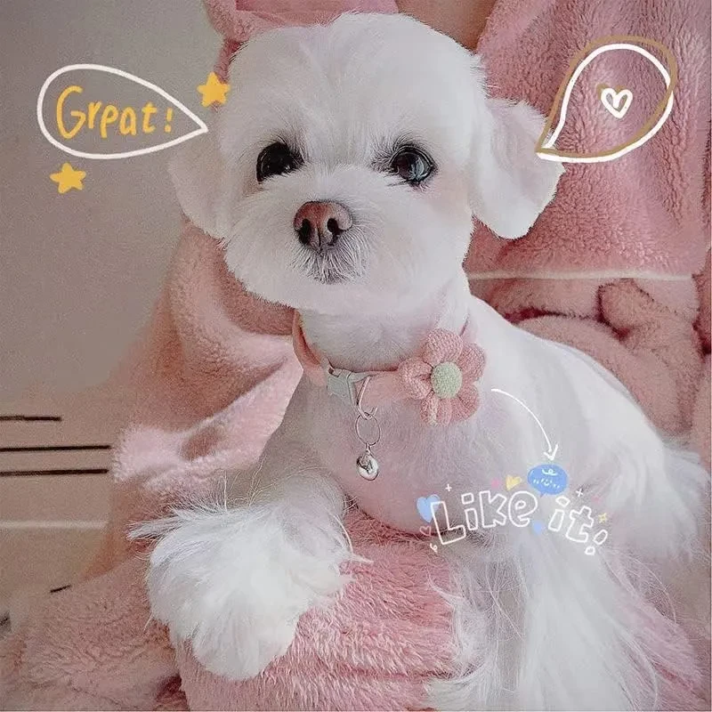 Collar para perro pequeño, collar para perro para niña con flor, collar para cachorro con cascabel, collar ajustable para perro pequeño.