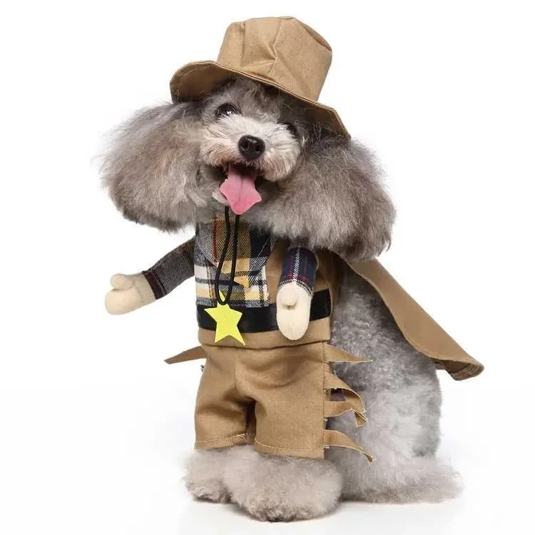 Defiende la ropa divertida para perros