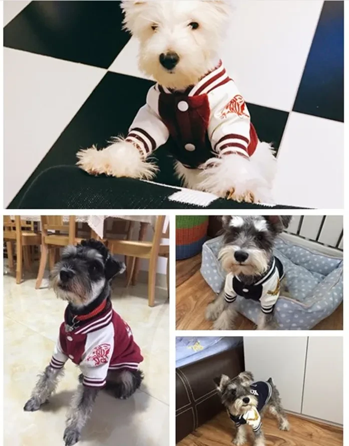 Suéter para perro Uni de Corea, chaleco para perro Uni de Yonsei, chaleco para bulldog francés, chaleco para bulldog inglés, ropa para perros