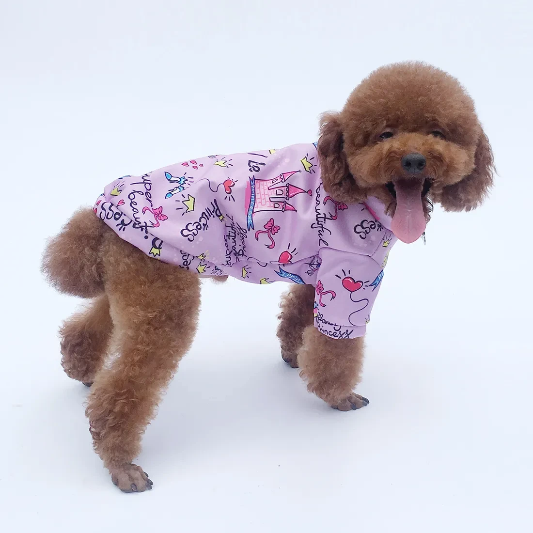 Ropa para perros Otoño e Invierno Sudadera con capucha Princesa con Terciopelo