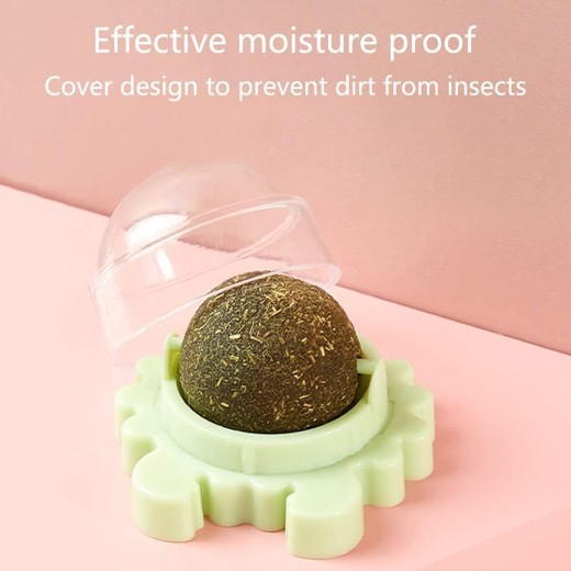 Bola de pared con hierba gatera, juguete comestible para lamer, juguete masticable para limpiar los dientes, juguete giratorio para morder, juguete de interior para gatos, decoración de pared.