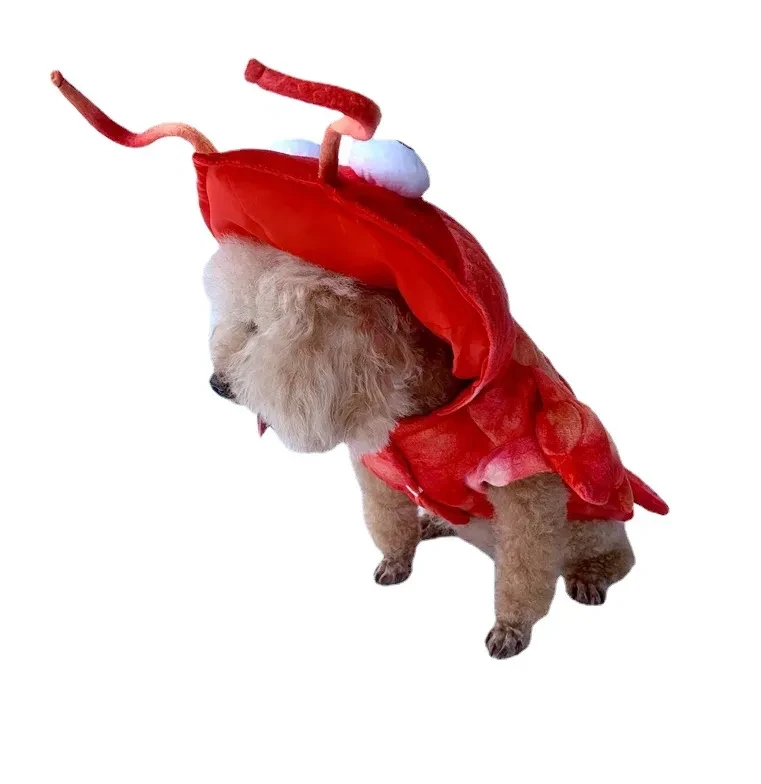 Disfraz de langosta para Halloween, para gatos y perros.