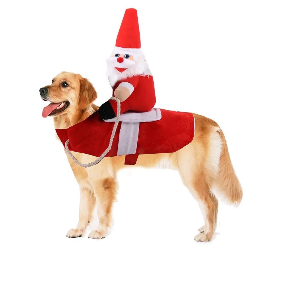 Ropa para perros con personalidad divertida que se transforma en un atuendo para montar a caballo