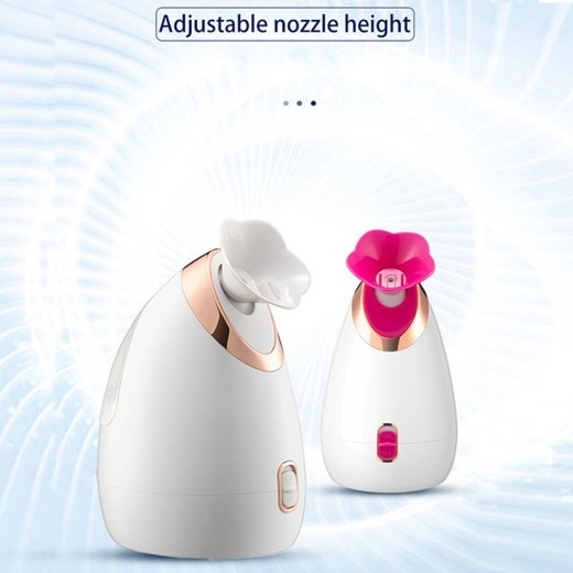 Instrumento para vaporizar el rostro