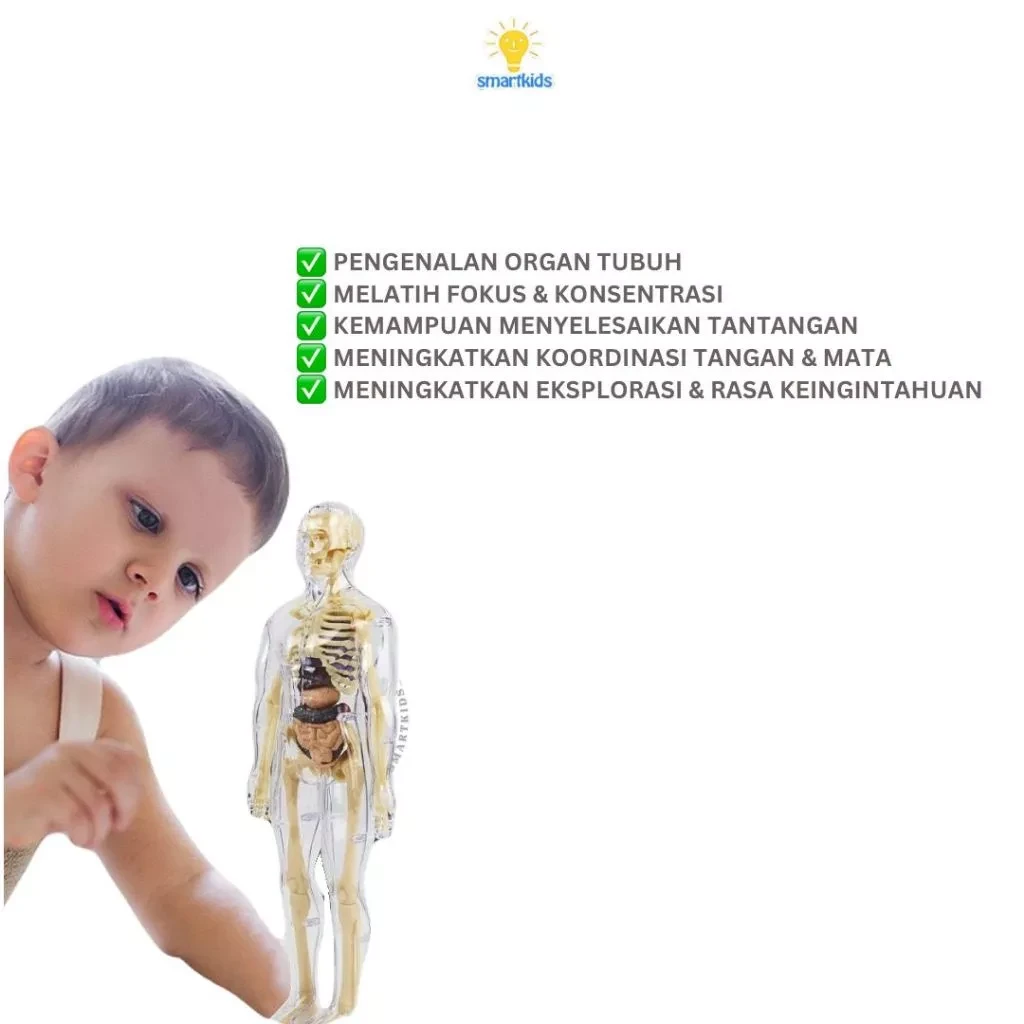Juguete rompecabezas modelo 3D cuerpo humano educación niños ciencia aprendizaje anatomía cuerpo huesos órgano ciencia STEM arreglo bricolaje