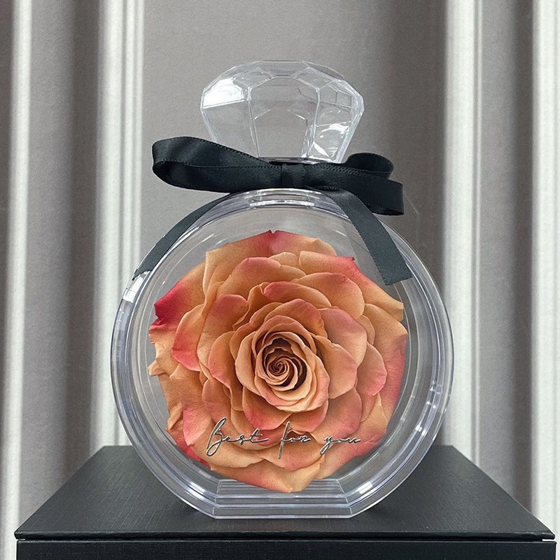 Adornos de flores eternas con cubierta transparente, rosas secas, caja de regalo para Navidad, Año Nuevo y San Valentín.