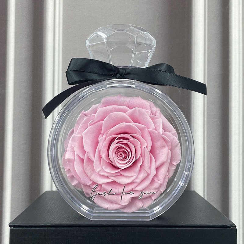 Adornos de flores eternas con cubierta transparente, rosas secas, caja de regalo para Navidad, Año Nuevo y San Valentín.