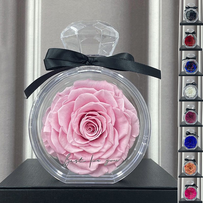 Adornos de flores eternas con cubierta transparente, rosas secas, caja de regalo para Navidad, Año Nuevo y San Valentín.