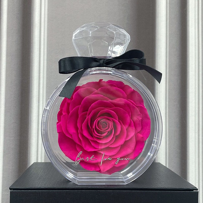 Adornos de flores eternas con cubierta transparente, rosas secas, caja de regalo para Navidad, Año Nuevo y San Valentín.