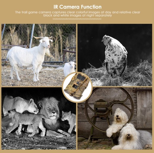 Cámara antirrobo de vigilancia para huertos