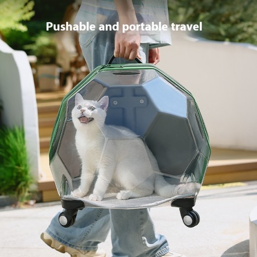 Maleta portátil para mascotas, transparente, para gatos y perros, con cápsula espacial