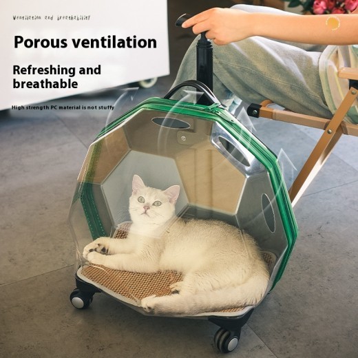 Maleta portátil para mascotas, transparente, para gatos y perros, con cápsula espacial
