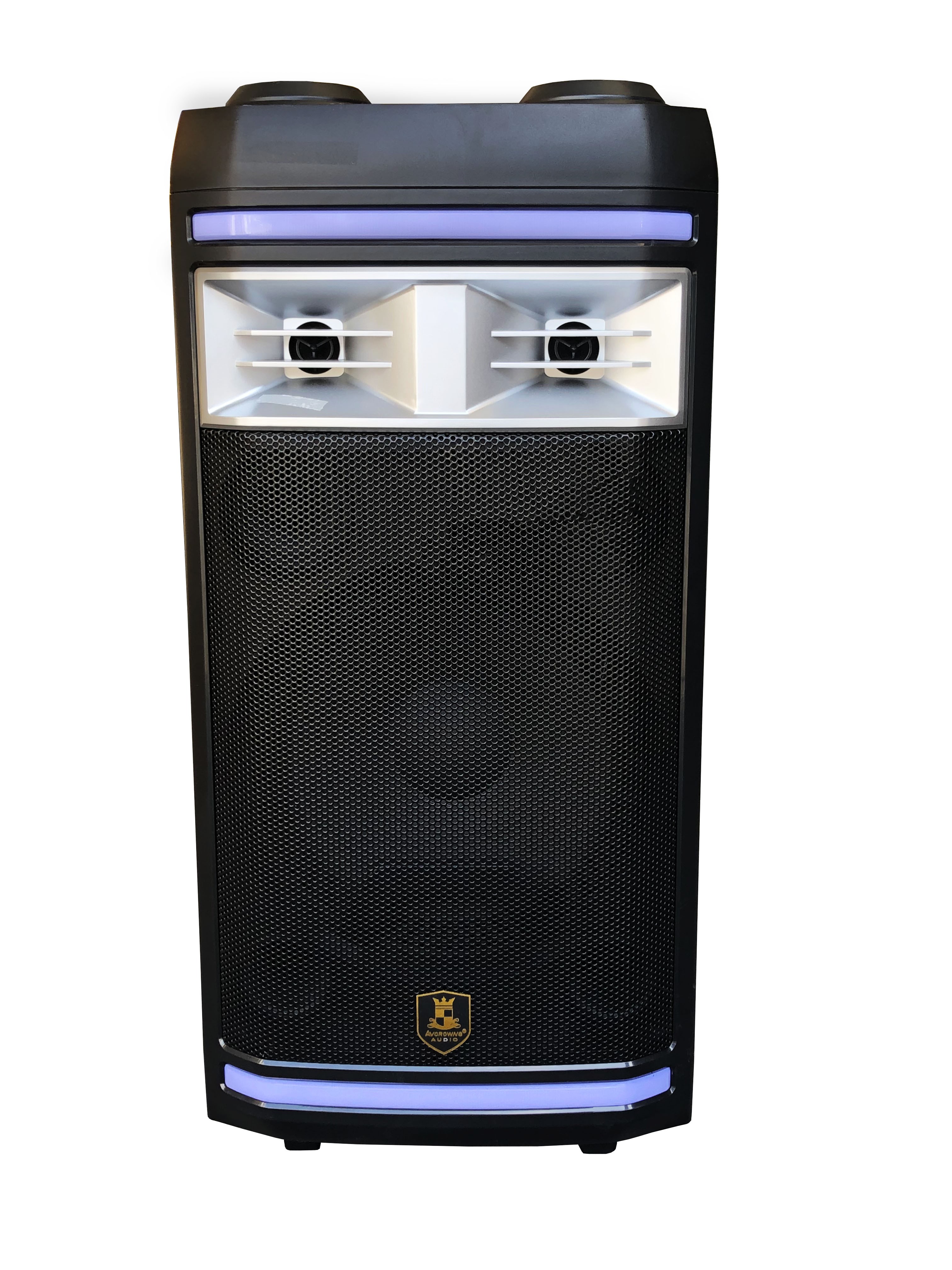 Altavoz LED para exteriores con micrófono doble