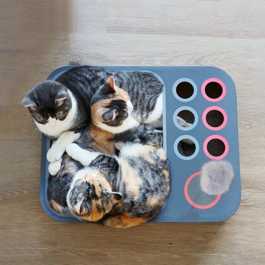 Rascador para gatos sin formaldehído, juguete resistente al desgaste