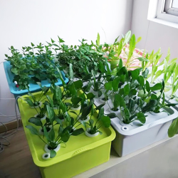 Kit hidropónico de 24 hoyos para plantar semillas en macetas de jardín