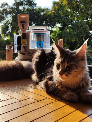Aspiradora multifuncional 7 en 1 para mascotas