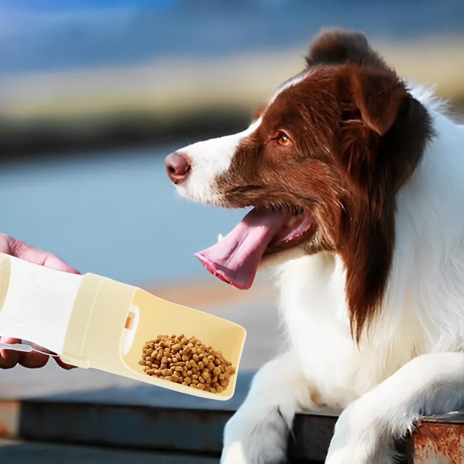 Botella de agua de viaje 2 en 1 para perros, dispensador de agua para mascotas, comedero, bebedero, comedero para perros, taza portátil para exteriores, productos para mascotas.