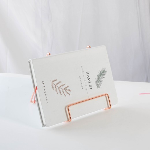 Estante de exhibición de lujo con luz y soporte para iPad, sencillo y creativo, estilo nórdico Ins