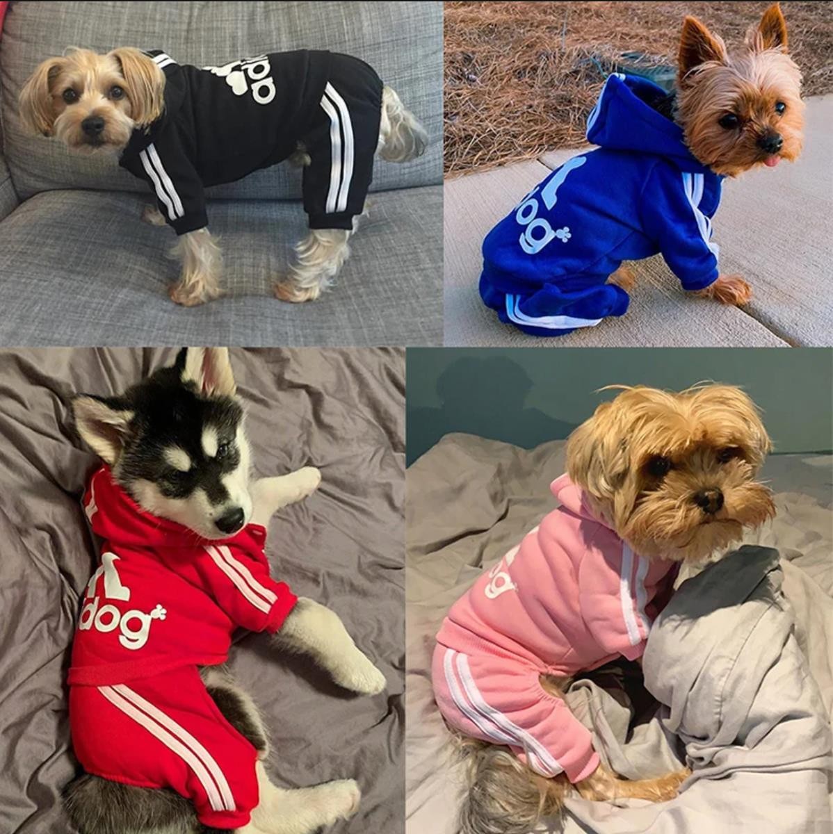 Mono para perro Adidog Clothes