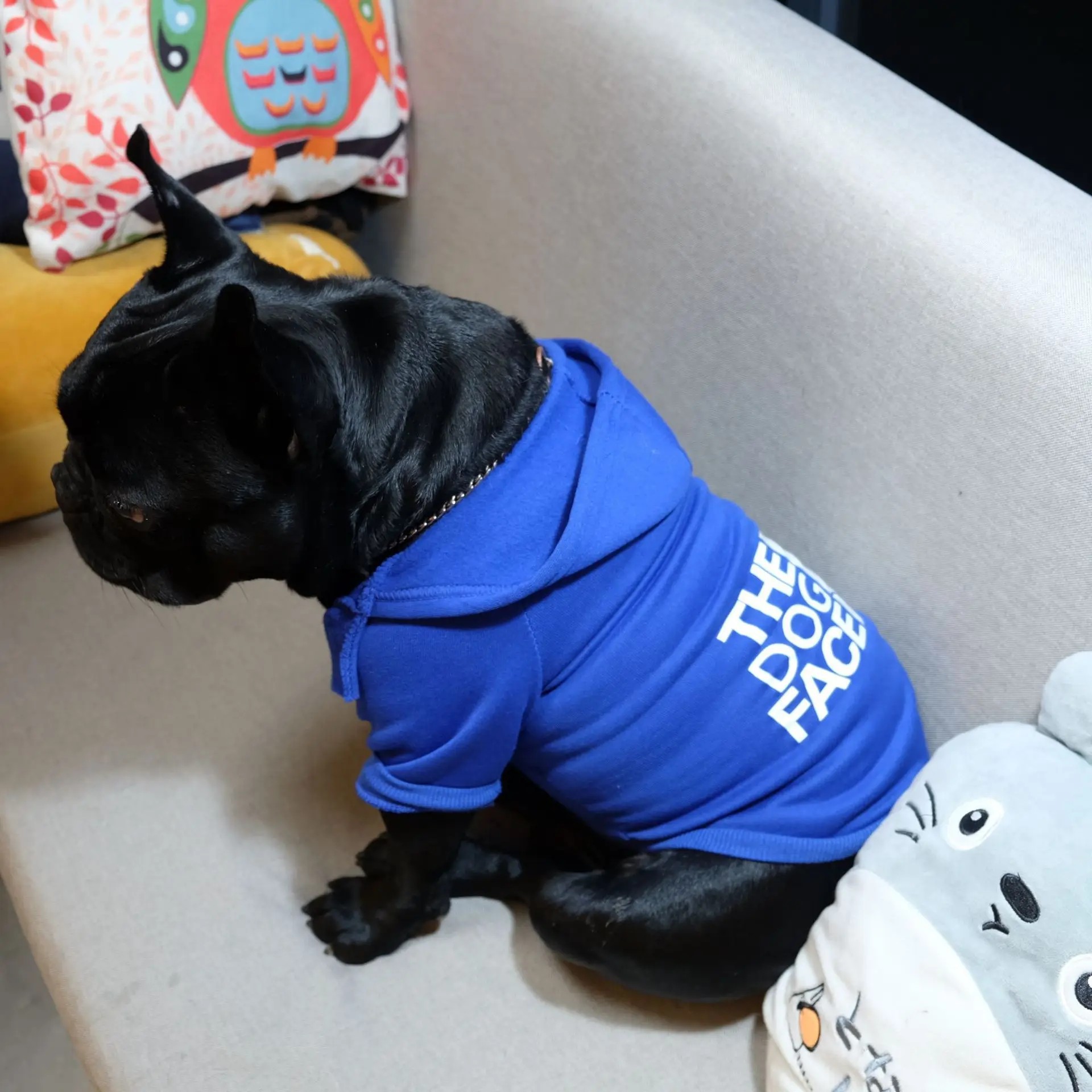 Sudadera con capucha para perros de temporada otoño e invierno