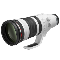 Canon RF 100-300mm f/2.8L IS USM Lens
