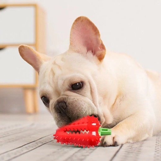 Juguete interactivo para morder con chile para perros