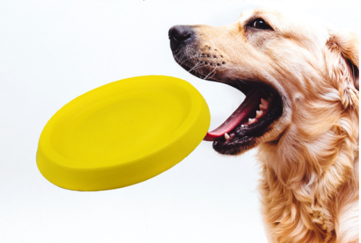 Perros que lanzan juguetes de plástico