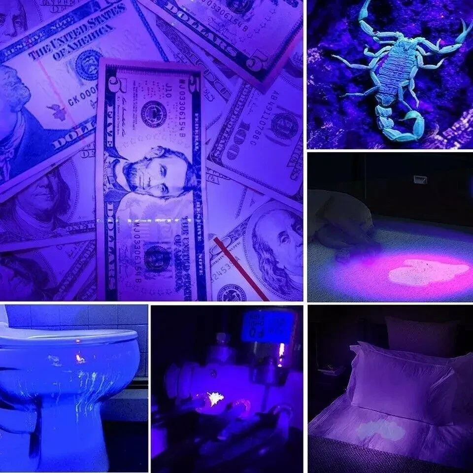Detector de billetes falsos multifuncional con linterna LED UV