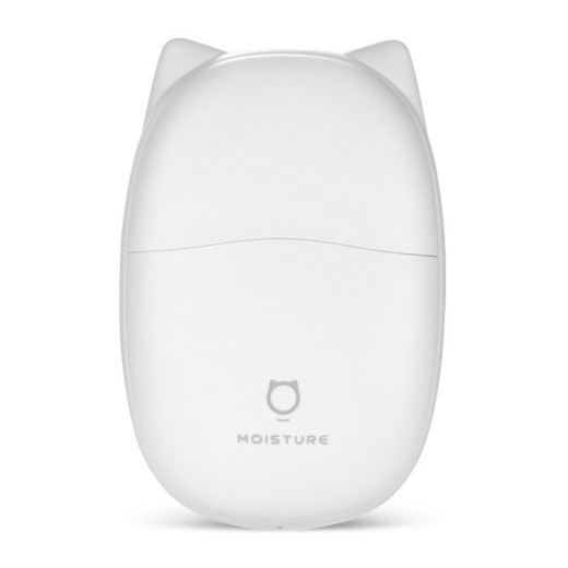 El nuevo humidificador en aerosol mini con lindo gato.