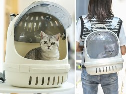 Mochila para mascotas transparente - Blanco cremoso
