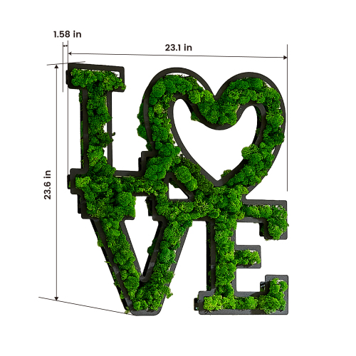 Letras de AMOR con musgo para decorar la pared