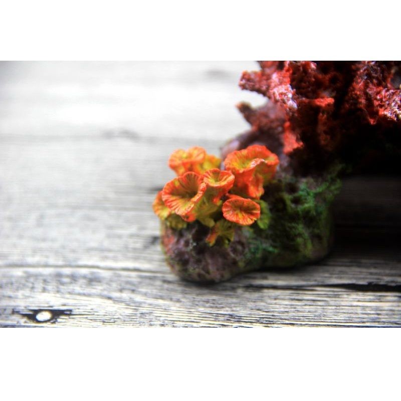 Decoración de pecera 015