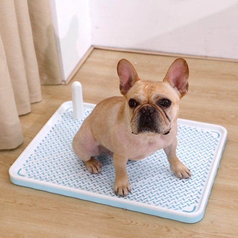 Bandeja para orinar para perros, soporte para almohadillas de entrenamiento para el baño, caja de arena, soporte para almohadillas para orinar