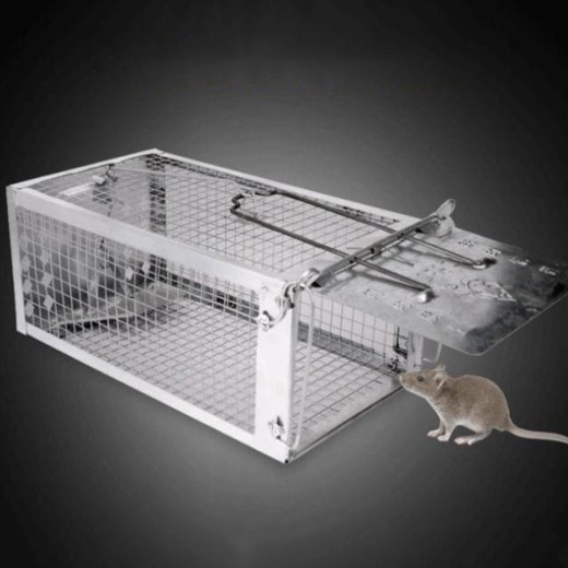 Trampa para ratones, trampa para ratones, artefacto, clip, interior