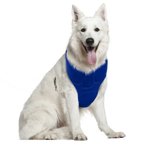 Collar refrescante para mascotas contra el golpe de calor