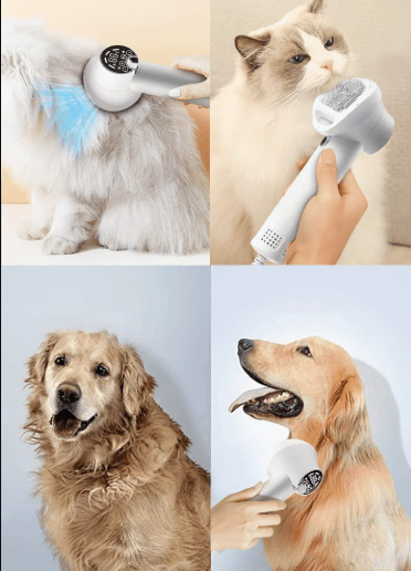 Pet Hair Dryer 2-In-1/with Slicker Brush