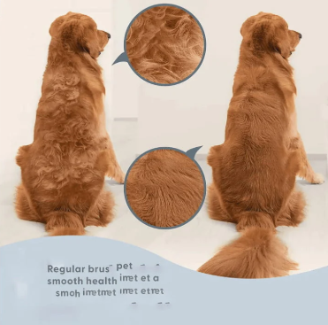 Pet Hair Dryer 2-In-1/with Slicker Brush