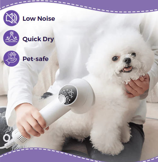 Pet Hair Dryer 2-In-1/with Slicker Brush