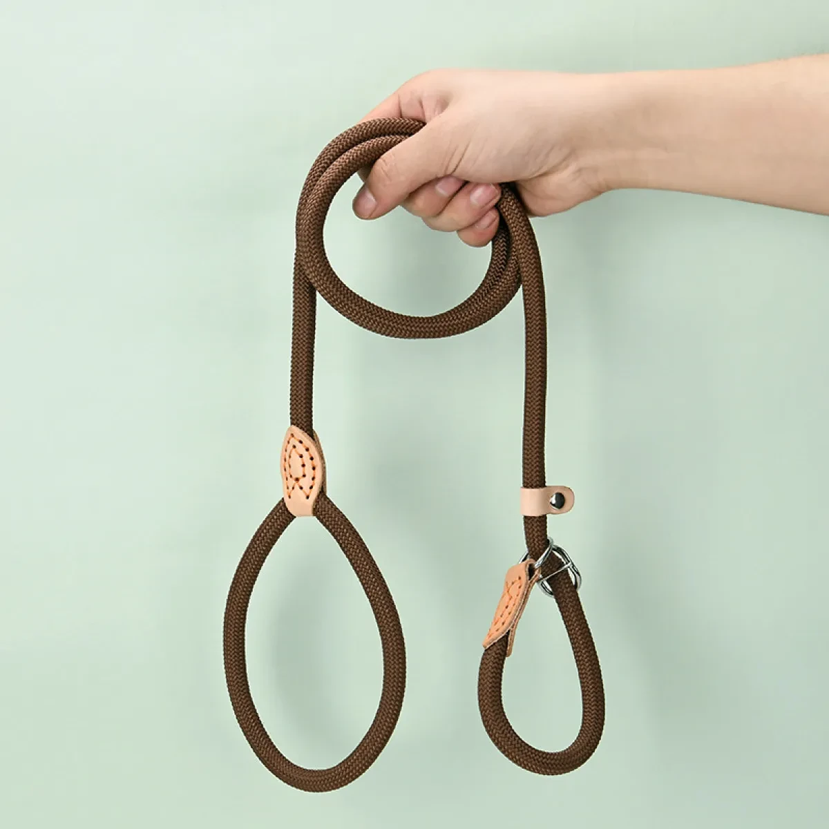 Dog Lead