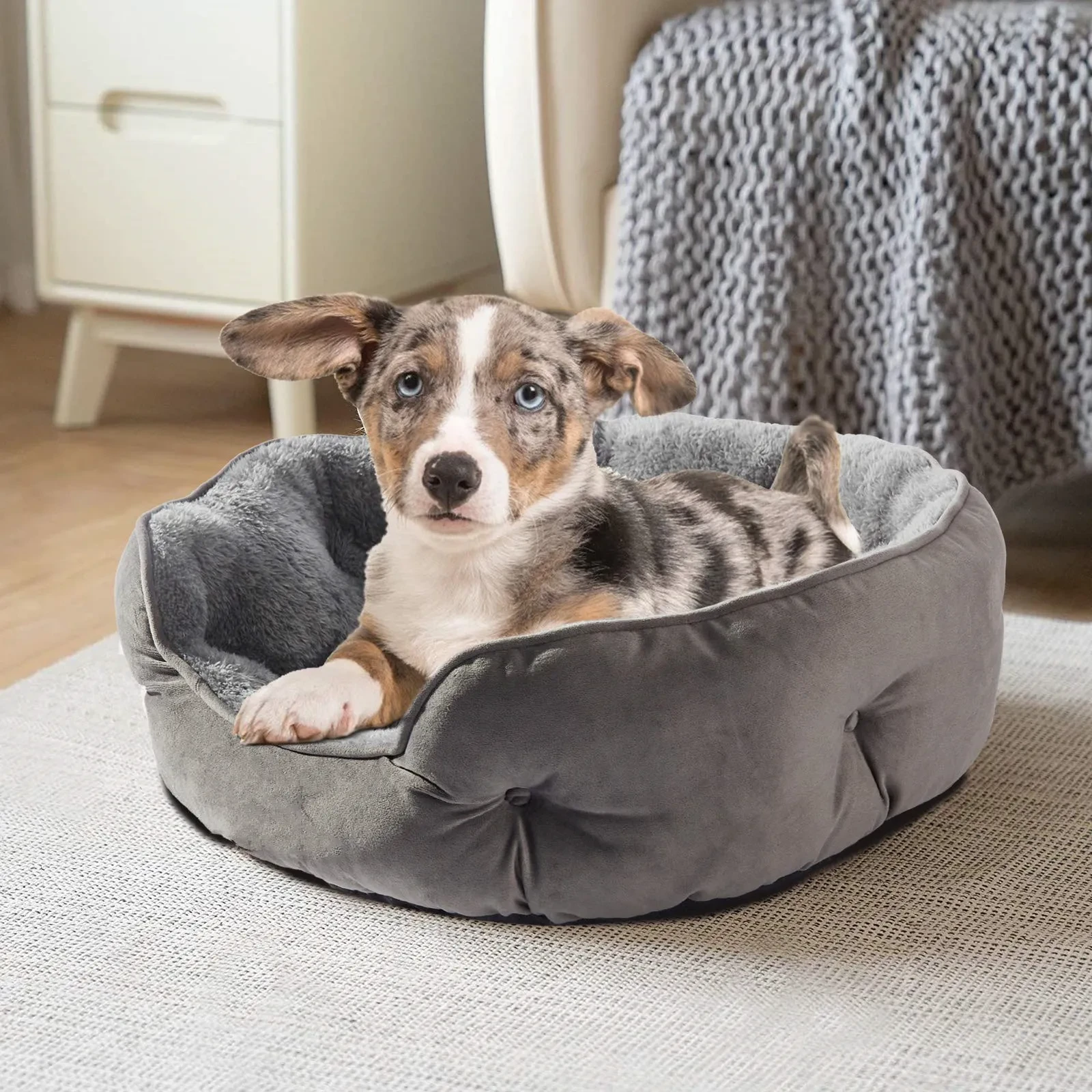 Pet Bed
