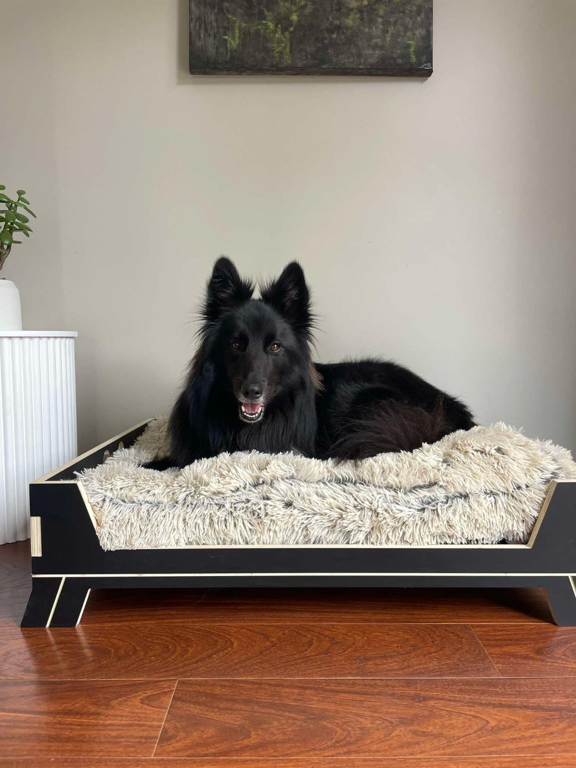 Cama de lujo para perros con estructura