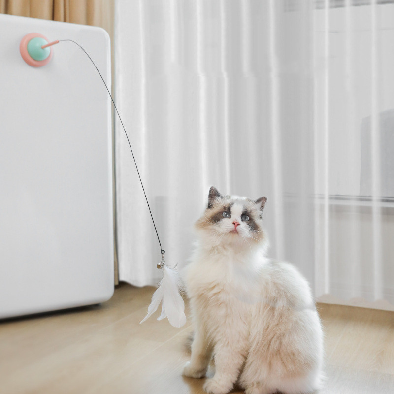 Productos fijos para mascotas para el hogar, juguetes interactivos