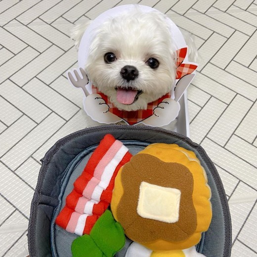 Juguetes de comida para perros