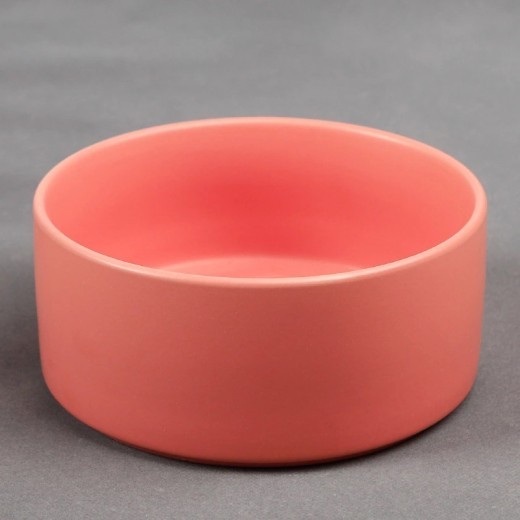 Cuenco para comida de perros y gatos Cuenco para perros